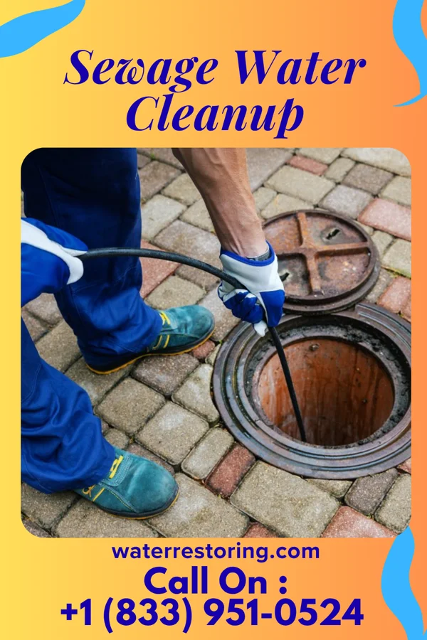 Sewage Water Cleanup in Sundance, NM
